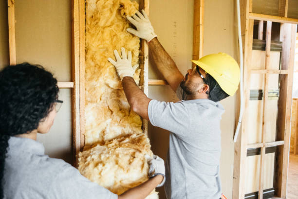 Best Blown-In Insulation  in Boulder Hl, IL